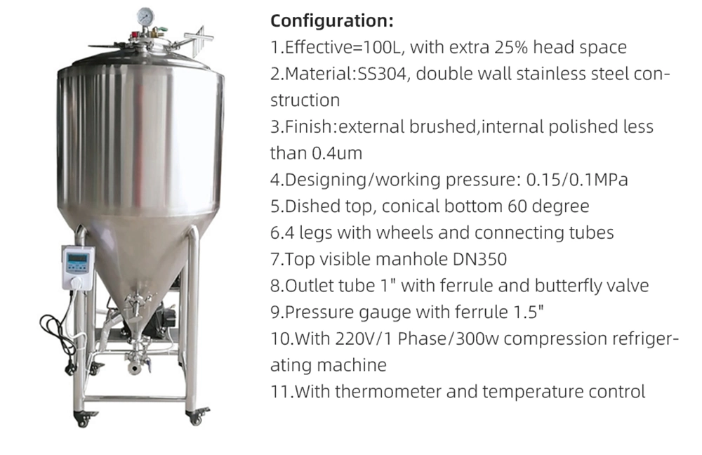 100L Micro Brewery Equipment/Home Beer Equipment/Small Brewing System with All Accessories