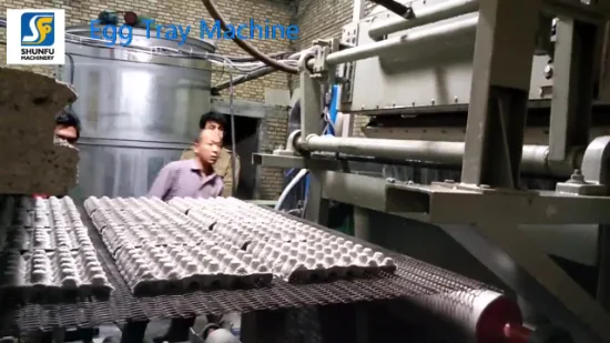 Обшивка оборудования для яйцеделательных машин из макулатуры